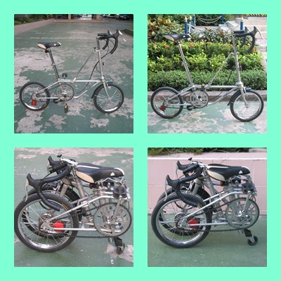 new_dahon77.jpg
