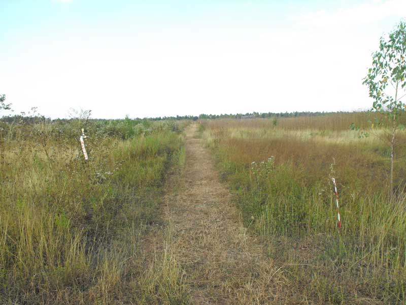DSCF0041.jpg