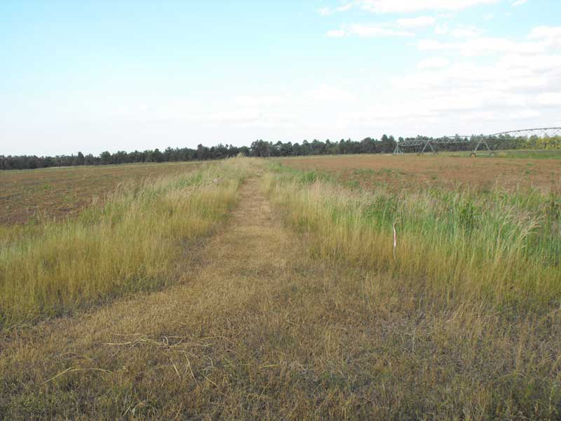 DSCF0043.jpg