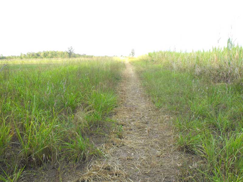 DSCF0048.jpg