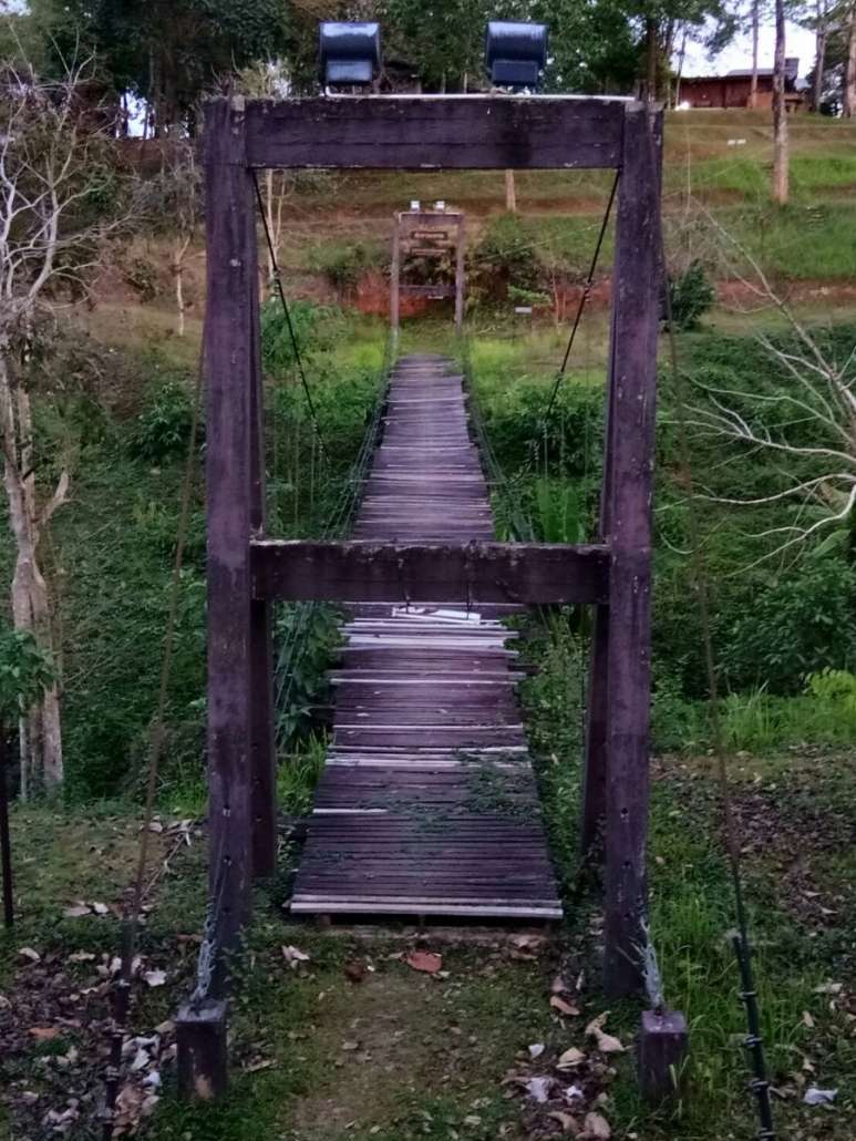 26368.jpg