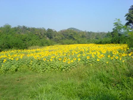 DSC07970.JPG
