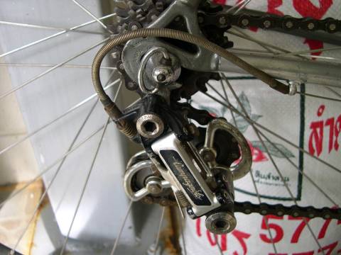 DSCN5511.jpg