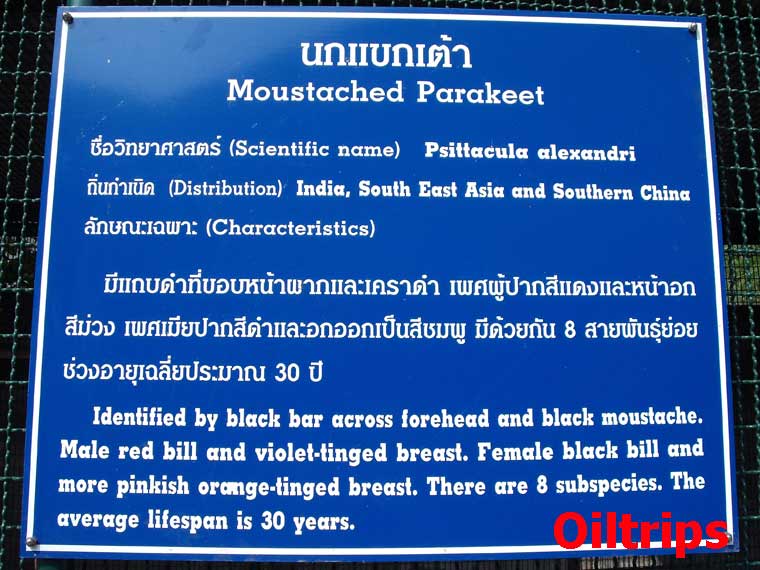 ป้ายบอกชื่อ นกแขกเต้า