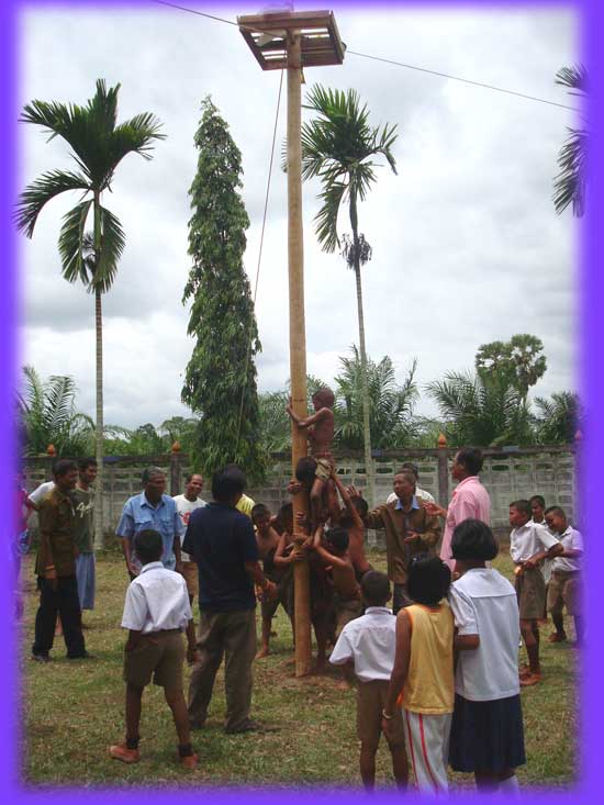 เต็มๆต้น**มีรางวัลข้างบนนะนู๋