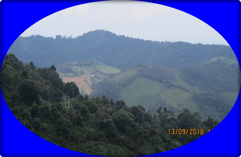 AA_7839.JPG