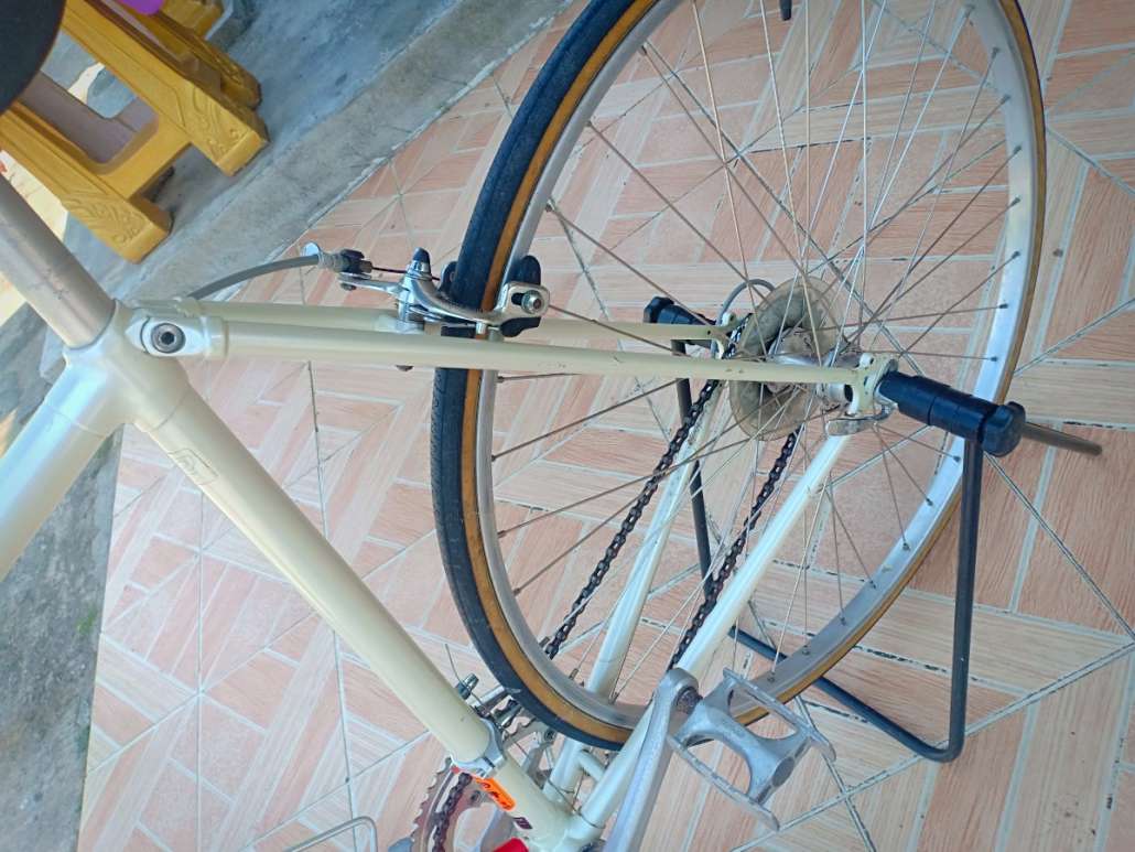 IMG20190119131909.jpg