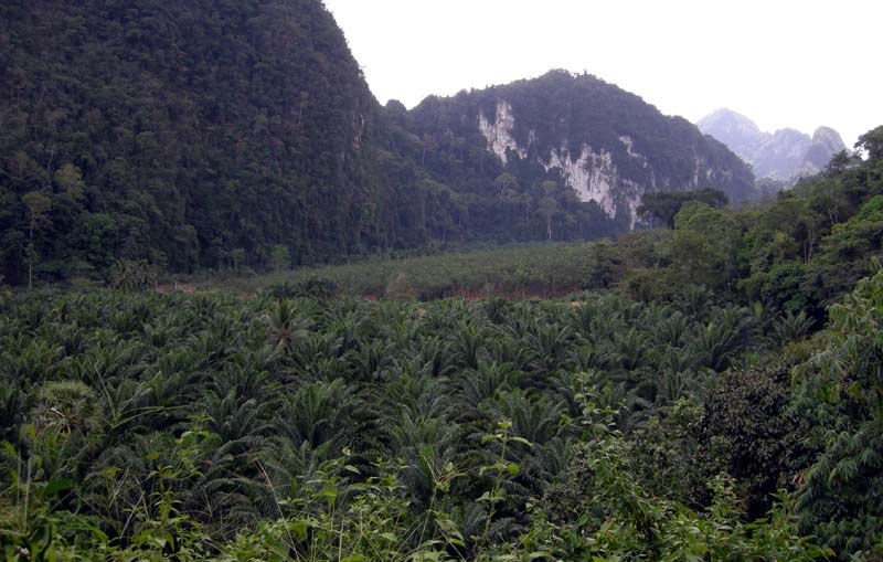 DSCN1243.jpg