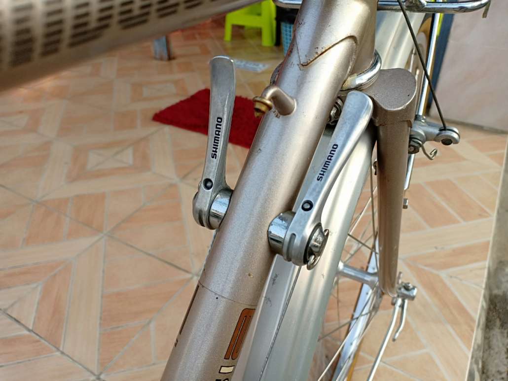 IMG20190228172859.jpg