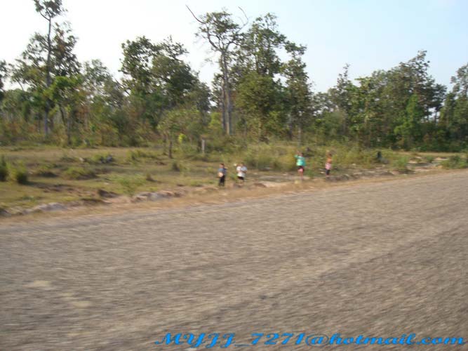 DSC04146_resize.jpg