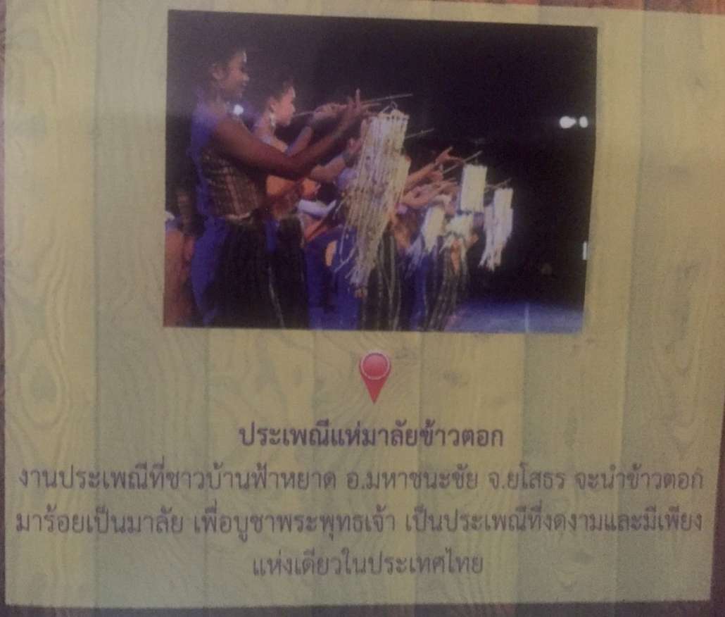 S__5054468.jpg