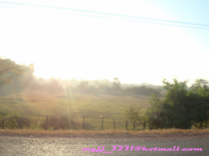 DSC04926_resize.jpg
