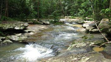 pic06.JPG