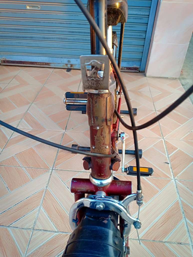 IMG20190501182409.jpg