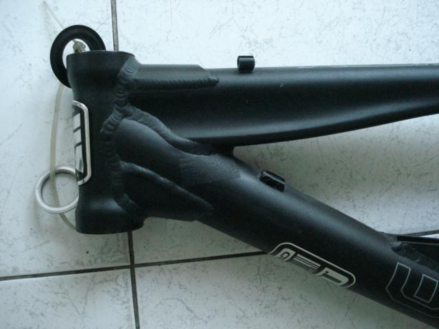 DSC05274 (Small).JPG
