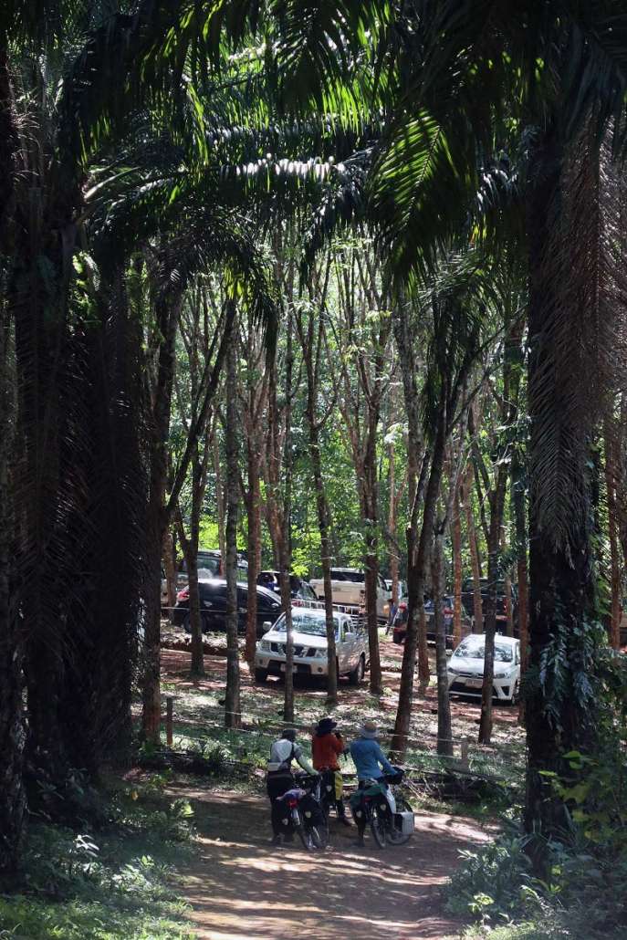 190411144200Krabi088r.jpg