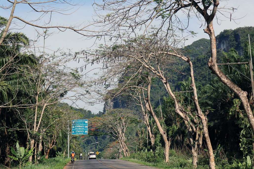 190411160808Krabi113r.jpg