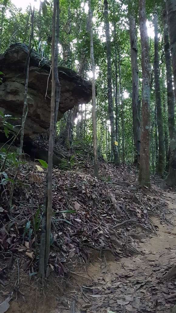 190412070149NgonNakS7040r.jpg