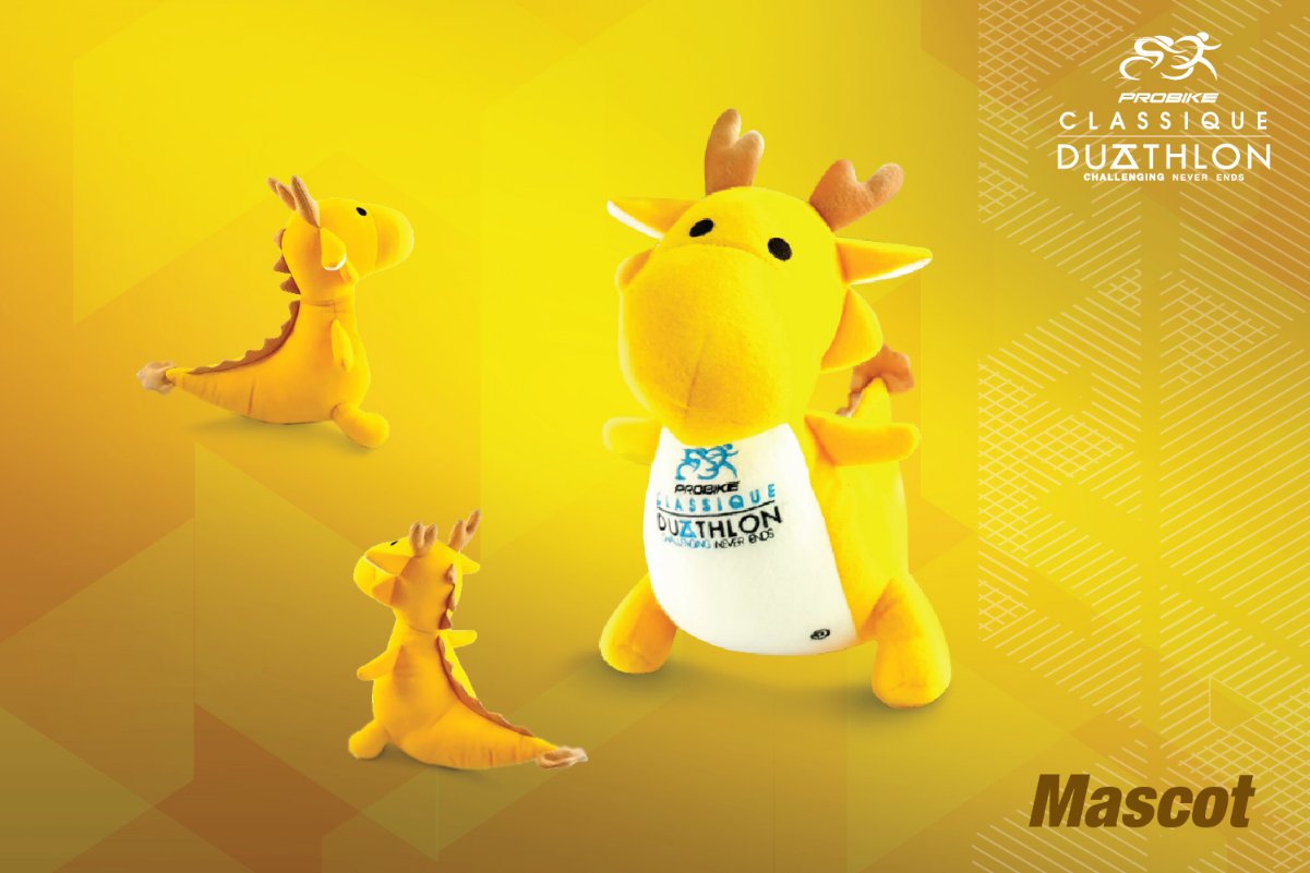 PROBIKE Duathlon_C2_FB_1000x1500_Bag Mascot-02-02.jpg