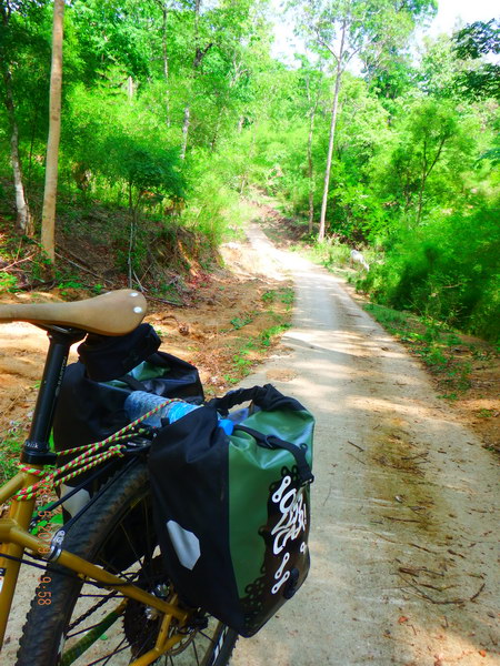 เหนือเขื่อนภูมิพล00257.JPG