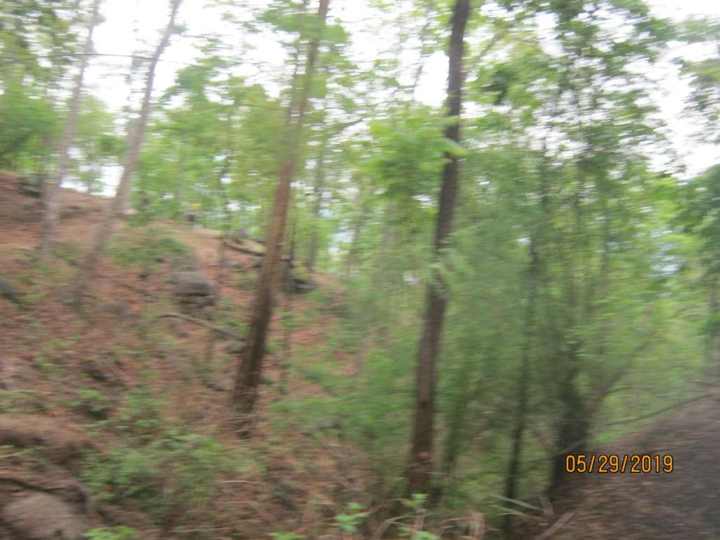 IMG_3939.JPG