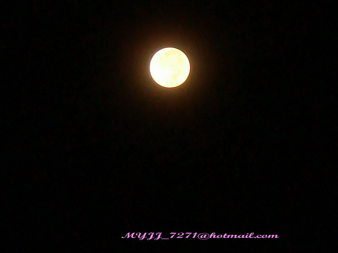 DSC05679-s002_resize.jpg