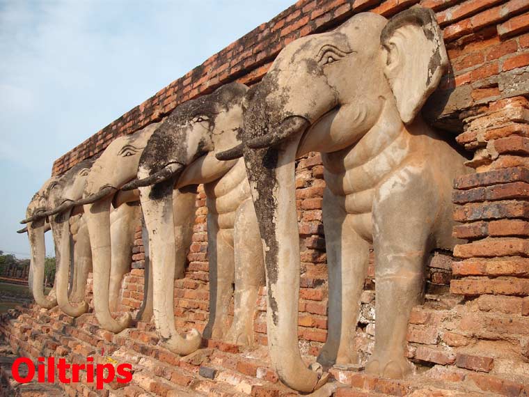 ช้างเรียงแถวดูสง่างาม