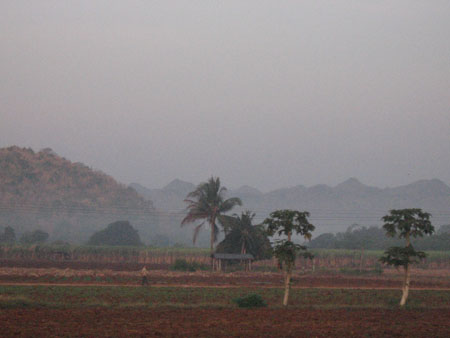 IMG_6624.jpg