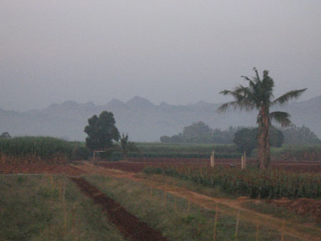 IMG_6623.jpg