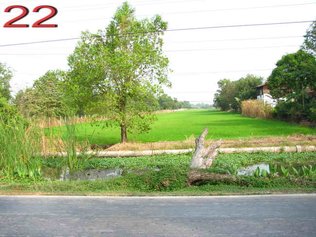 บ้านเฟิรน์คลอง๑๙ (46)_resize.jpg