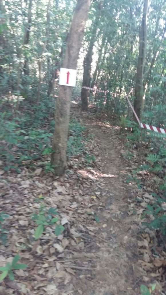 214592.jpg