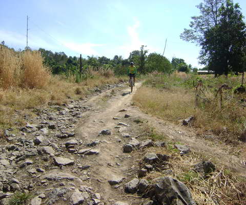 DSC01783.JPG