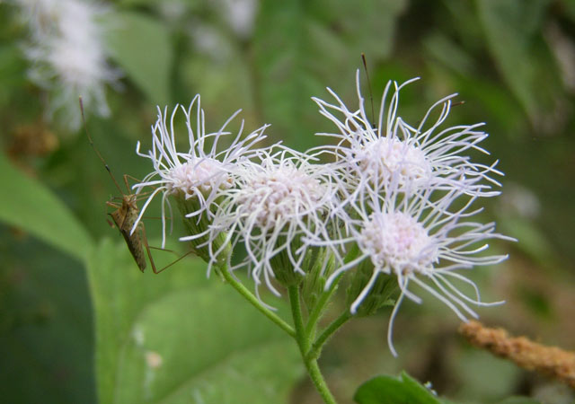 DSCN6187.jpg