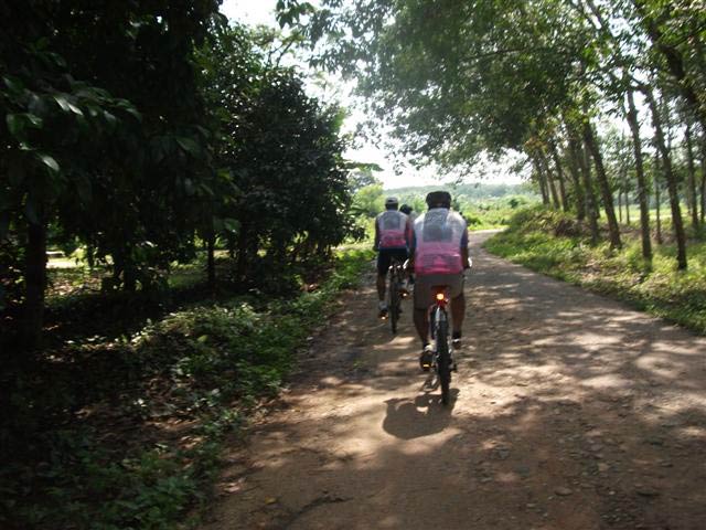 DSCF1113-(Small).jpg
