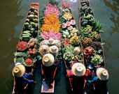 อยากกินเตี๋ยวเรือ