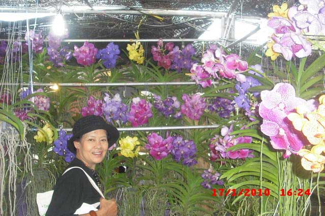 CIMG7513_resize.jpg