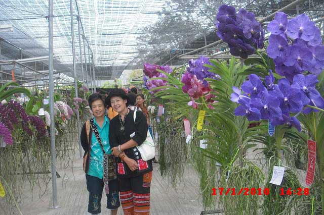 CIMG7518_resize.jpg