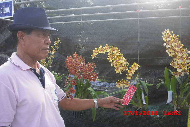 CIMG7621_resize.JPG