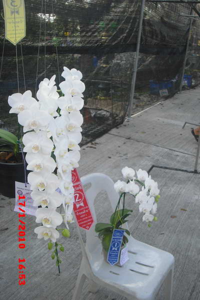 CIMG7630_resize.jpg