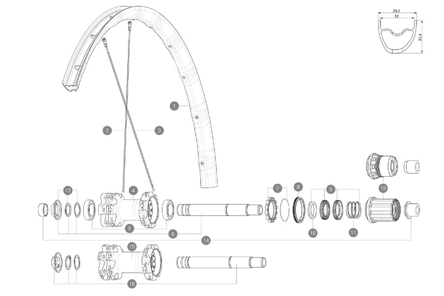 elit-r.jpg