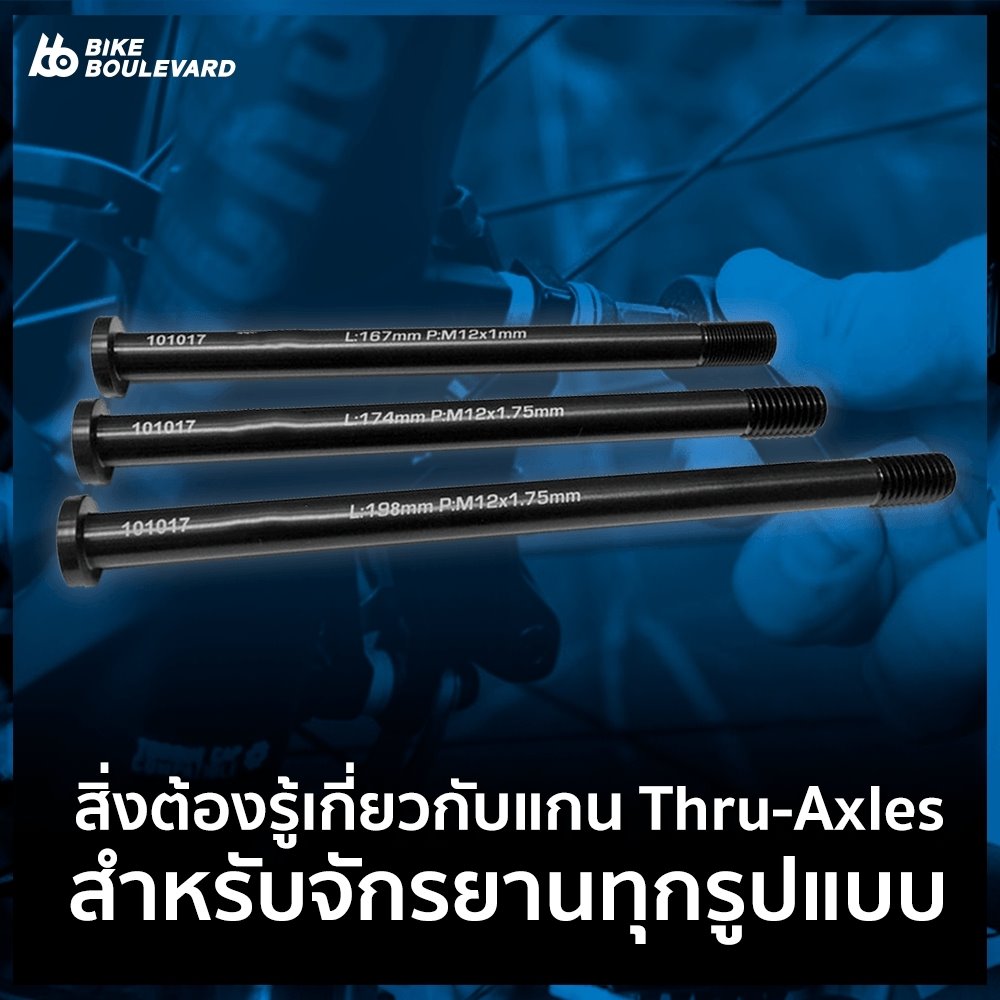 แกนปลด_200622_0001.jpg