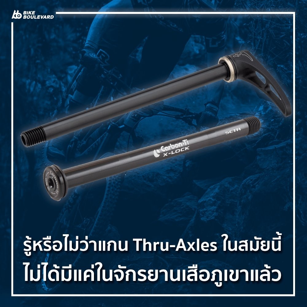 แกนปลด_200622_0002.jpg