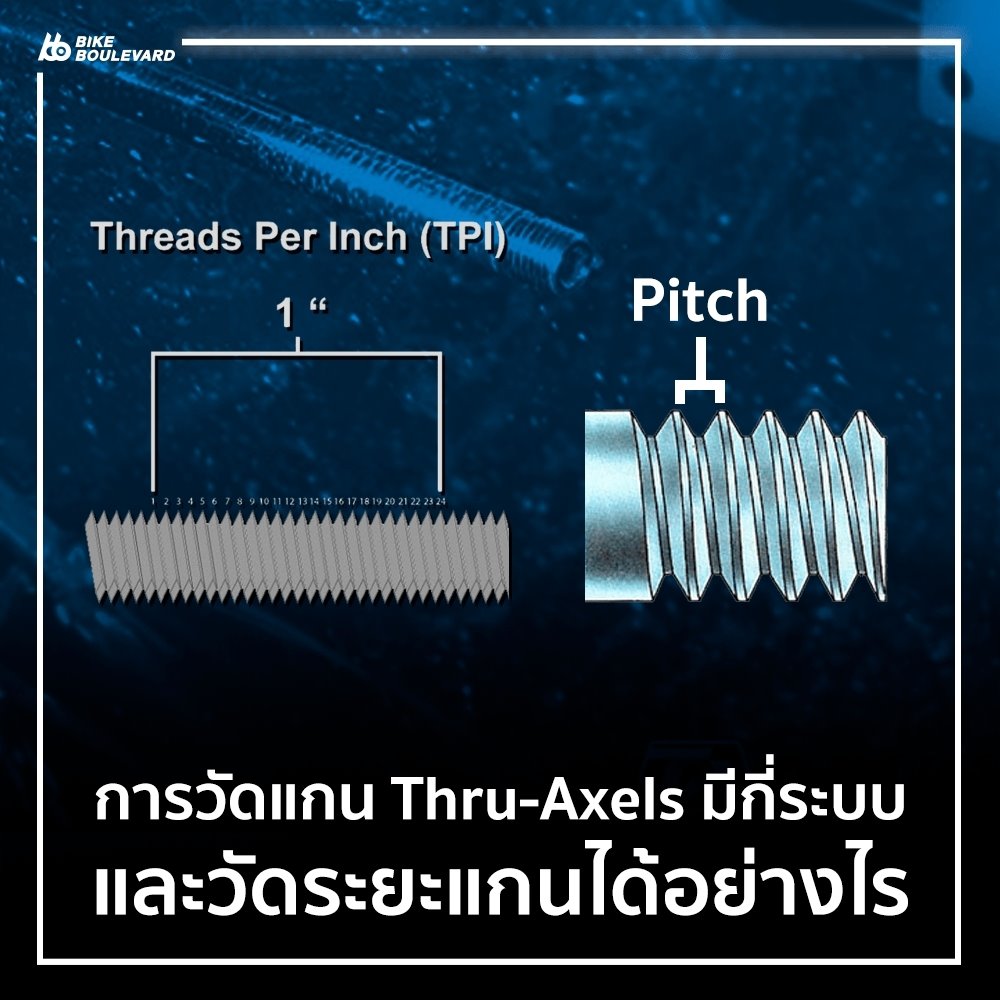 แกนปลด_200622_0004.jpg