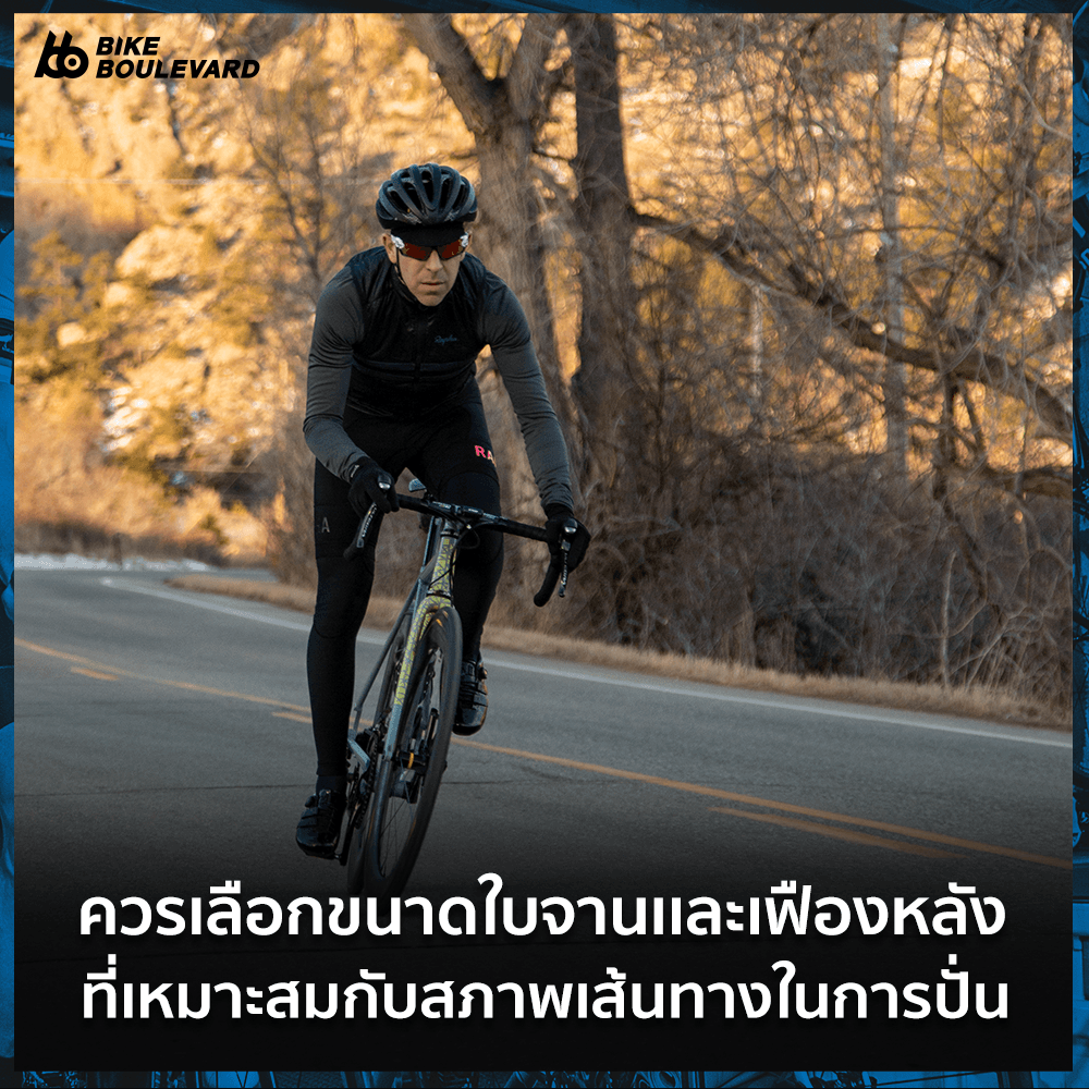 ขาจาน 3.png