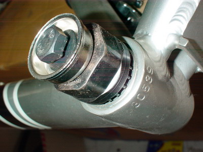 DSC01167.jpg