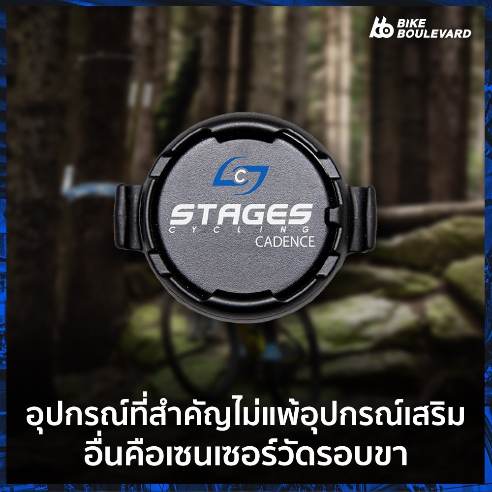Stages Cadence Senso_201208_5.jpg