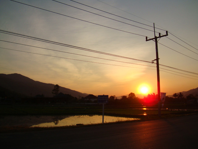 DSC01610.jpg