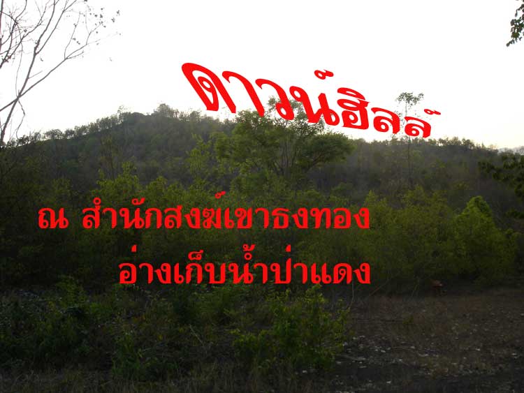 a1.jpg
