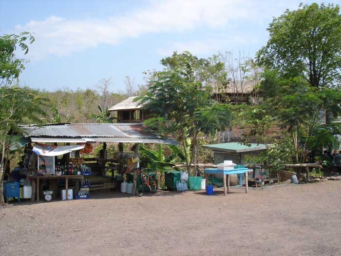 ร้านอาหาร ปลายี่สกจากอ่าง ที่นี่มีผักหวานเก็บจากป่าท้ายอ่าง