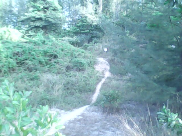 IMG0065A.jpg